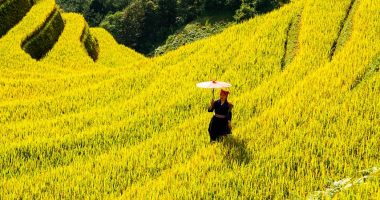 Conversational Banking - EuroTimes AI