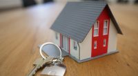 personal finance tips for beginners - EuroTimes AI