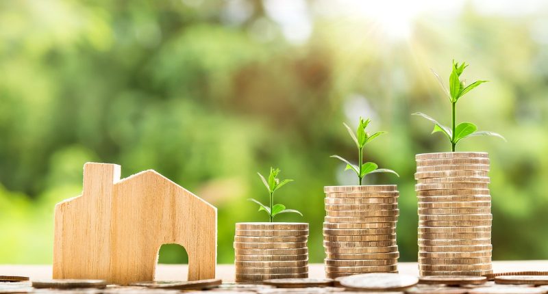 Investing & Asset Management - EuroTimes AI