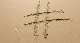 best seo tools for website growth 2026 - Euro AI